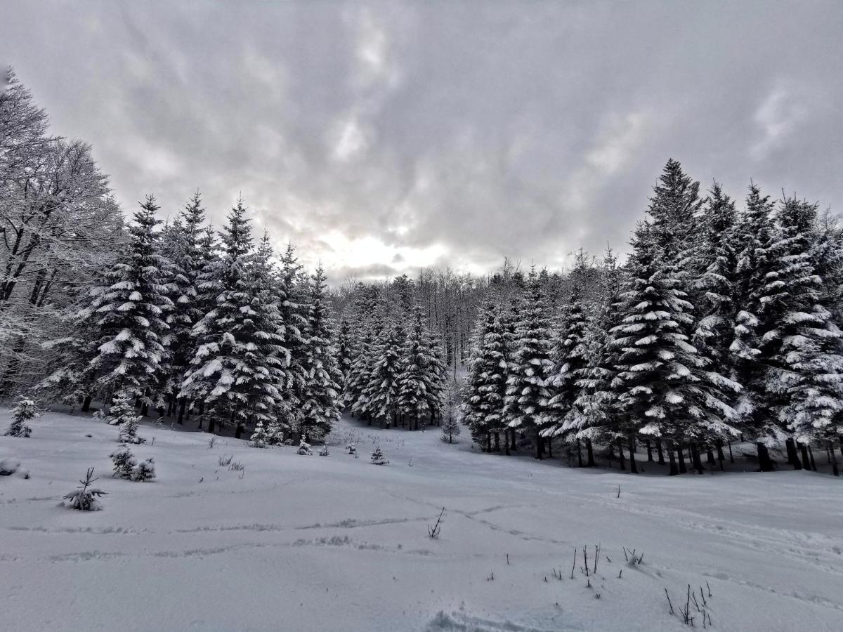 Great Mountain B&B Platak Bagian luar foto