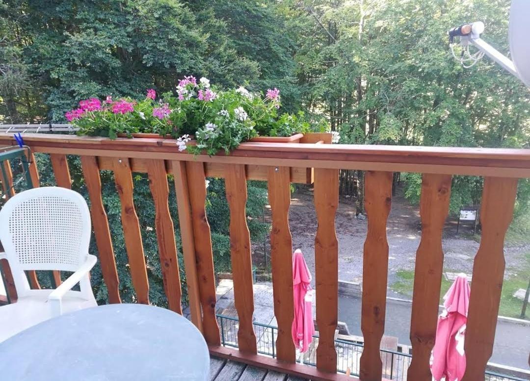 Great Mountain B&B Platak Bagian luar foto